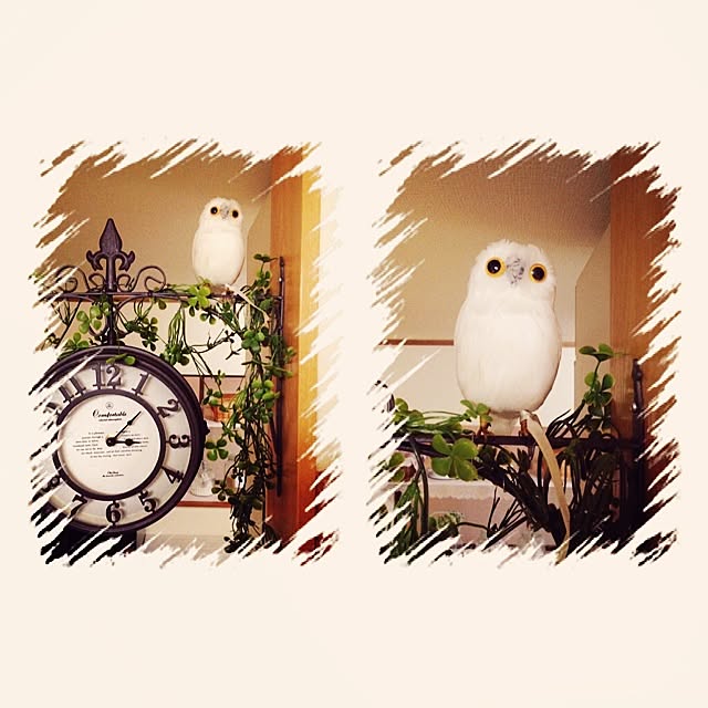 maruさんの実例写真