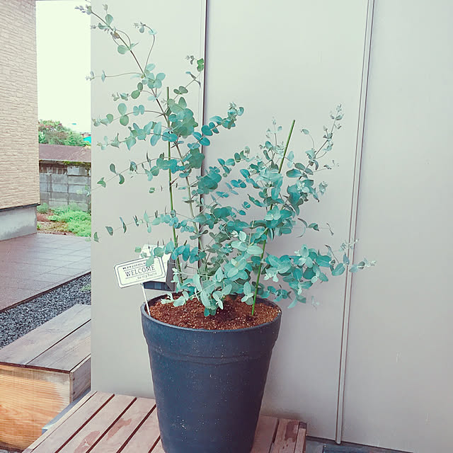howdyさんの実例写真