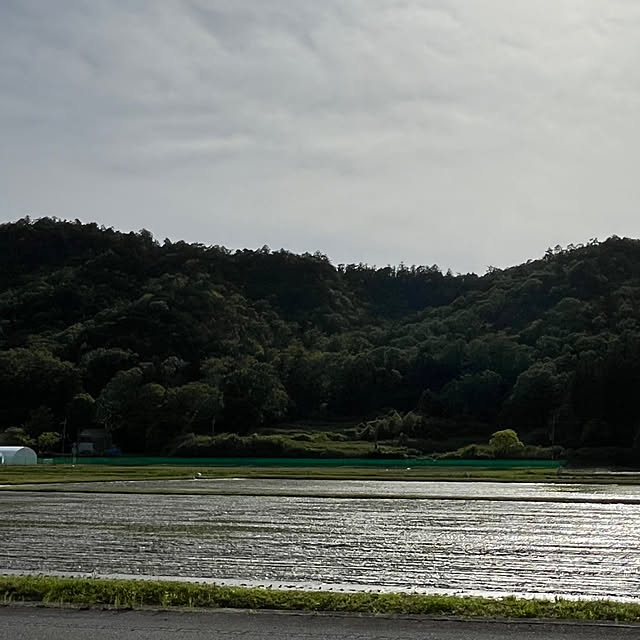 実例写真