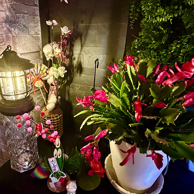 tututu0204さんの実例写真