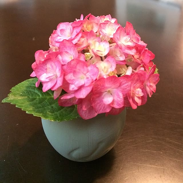 mayumi1010thさんの実例写真