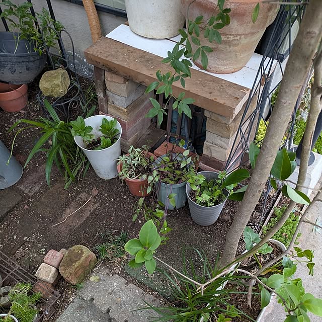 mori_6_12さんの実例写真