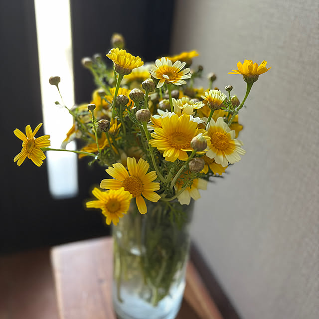 Minteaさんの部屋