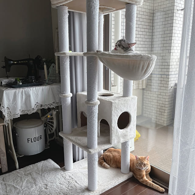 Atelier.mさんの実例写真
