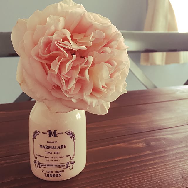 icchan123さんの実例写真