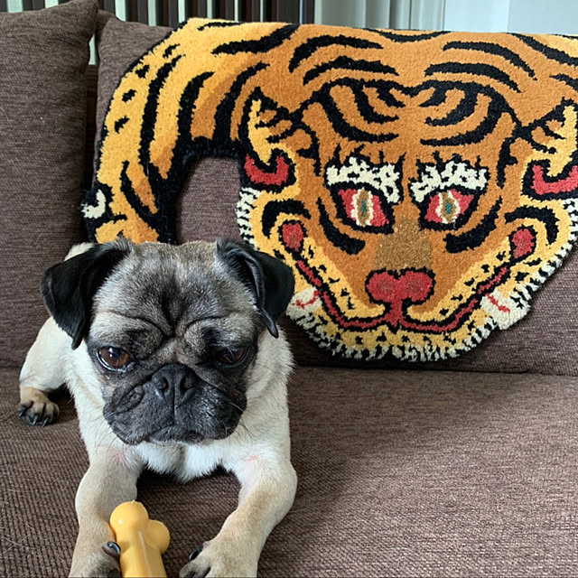azさんの実例写真