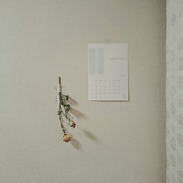 7pachiriさんの実例写真