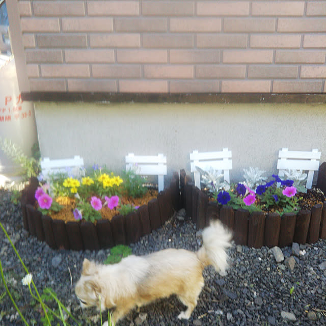 kiraさんの実例写真