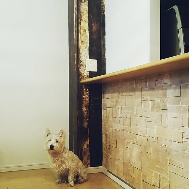 tbToshiさんの実例写真