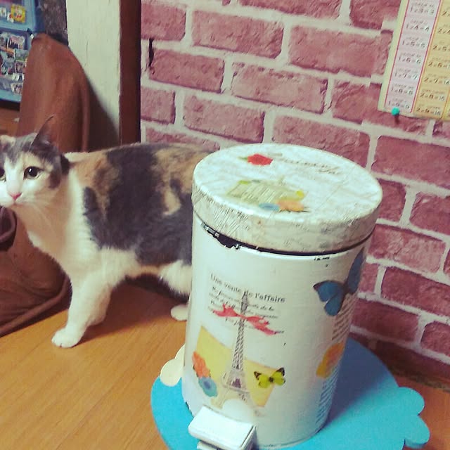 kuuchanさんの実例写真