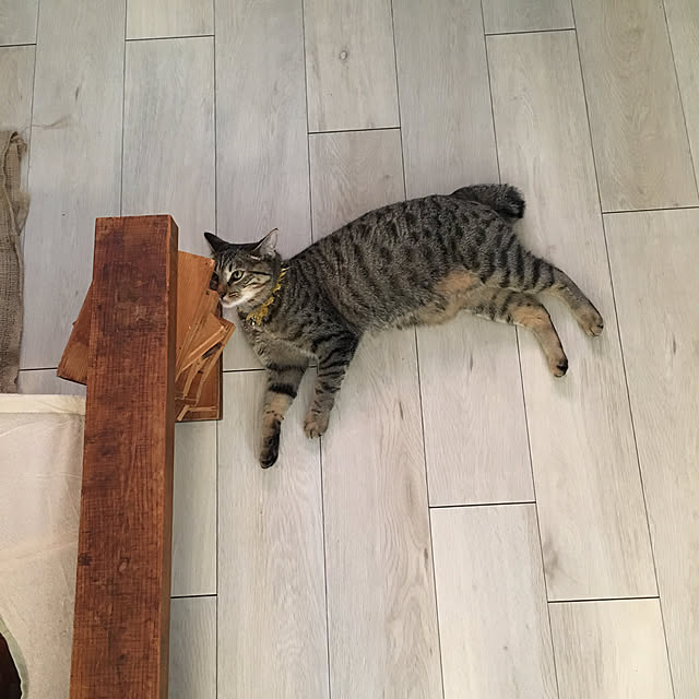 Mさんの実例写真