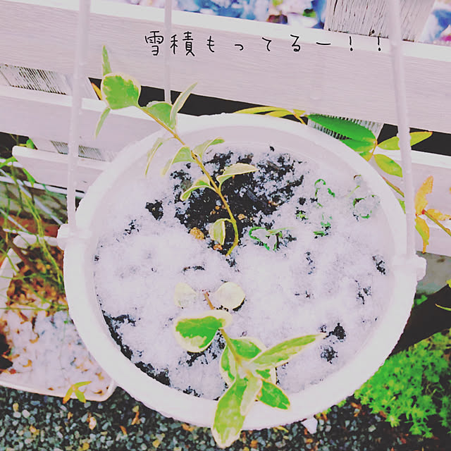honohonoさんの実例写真