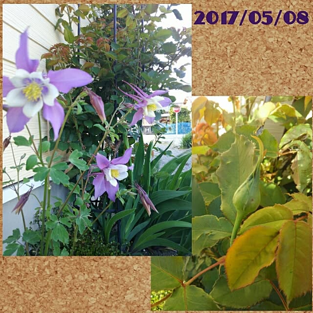 bousuke.215112さんの実例写真