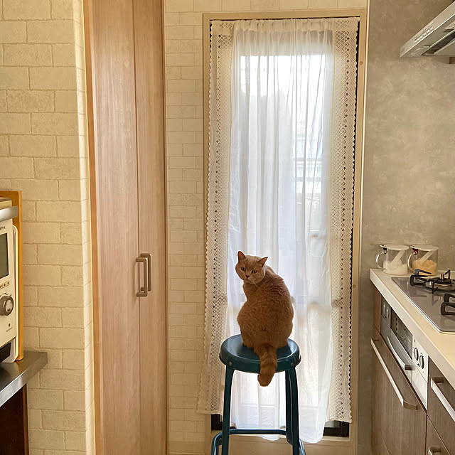 tomoさんの実例写真