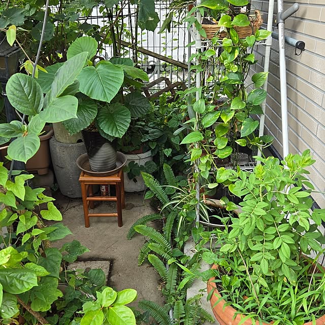 mitsuyama3136さんの実例写真