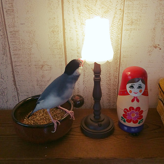 soramameさんの実例写真