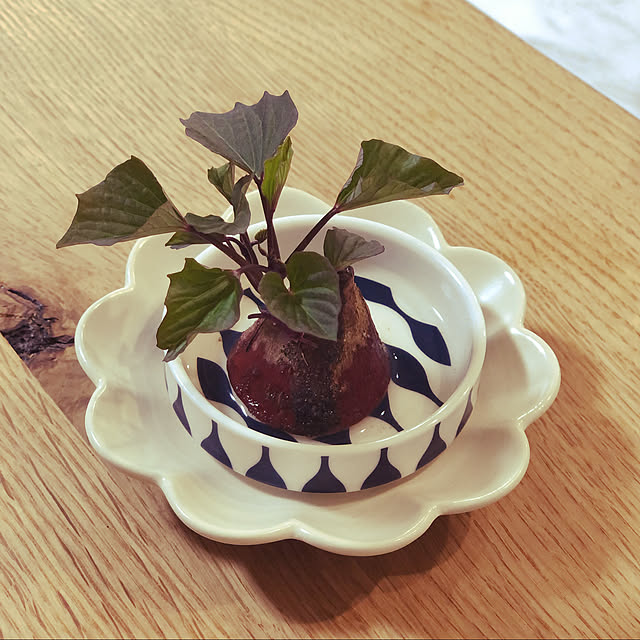 yurari.bonnさんの実例写真