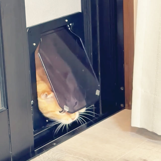 mieさんの実例写真