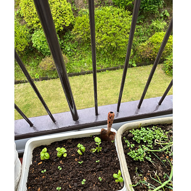 syutmmさんの部屋