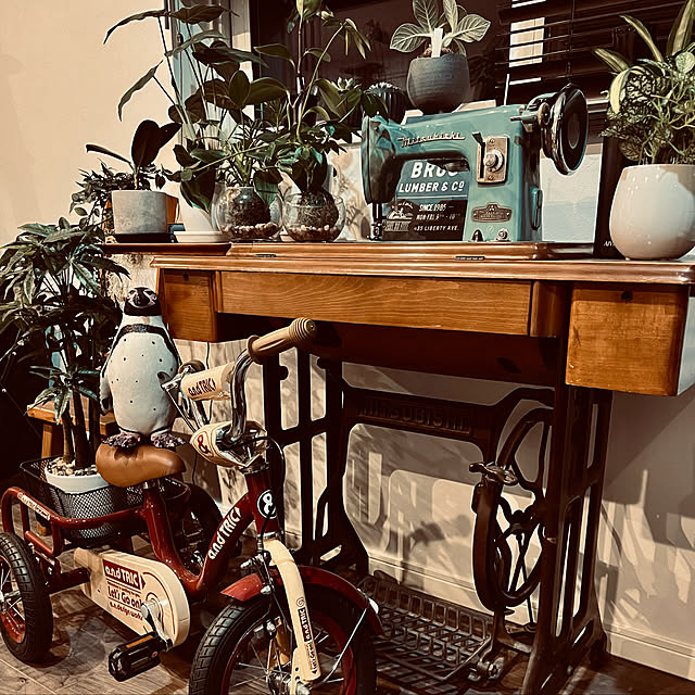 アンティーク/観葉植物/多肉植物/部屋全体のインテリア実例 - 2021-10-19 21:41:33