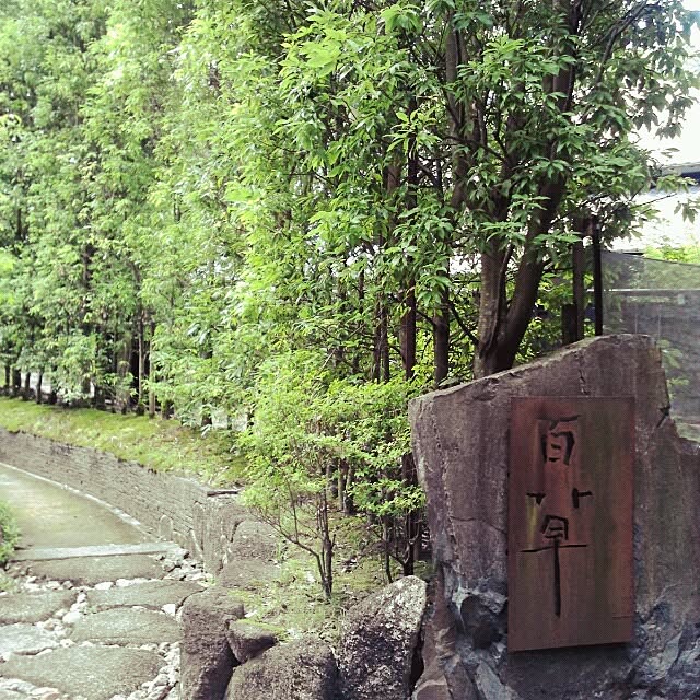 実例写真