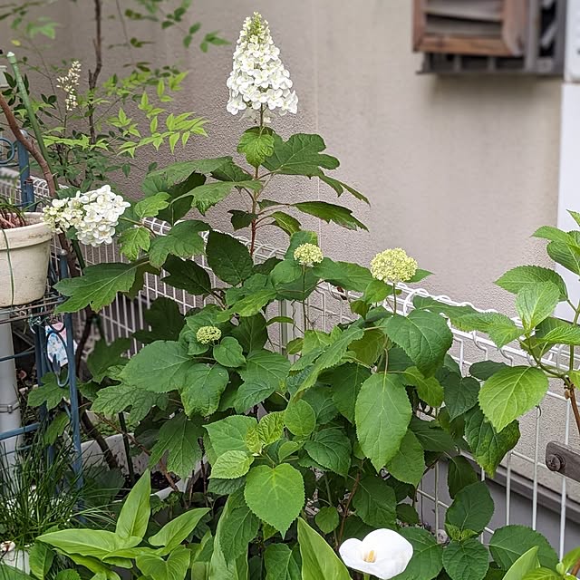 junさんの部屋