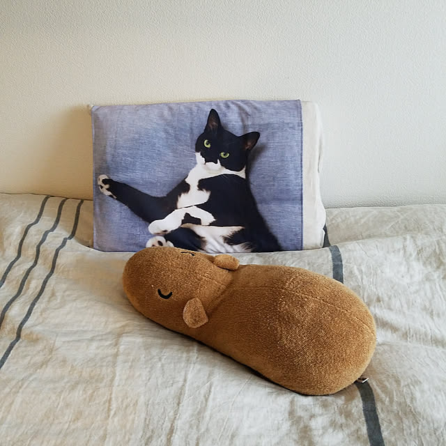 yuukaringoさんの実例写真