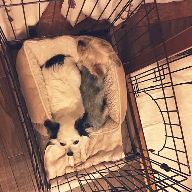 ohanaさんの実例写真