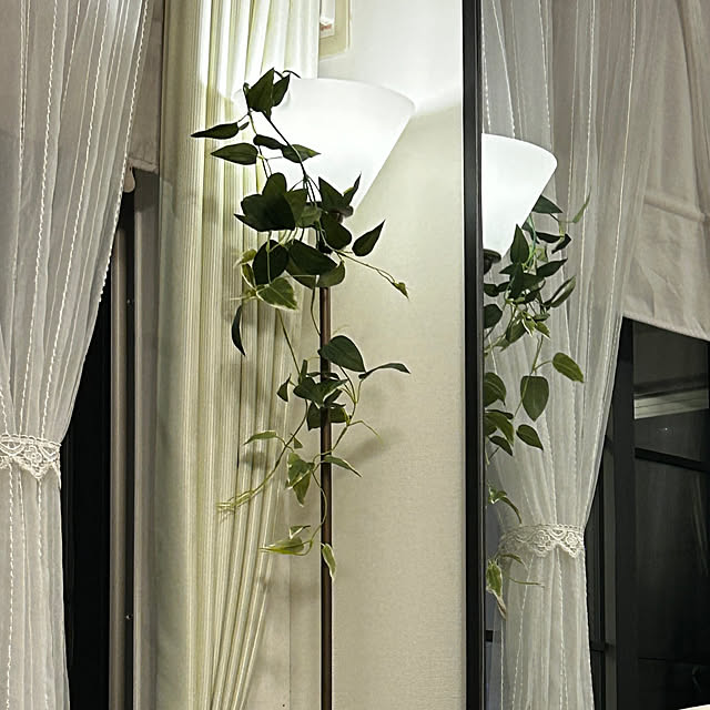 mirolさんの実例写真