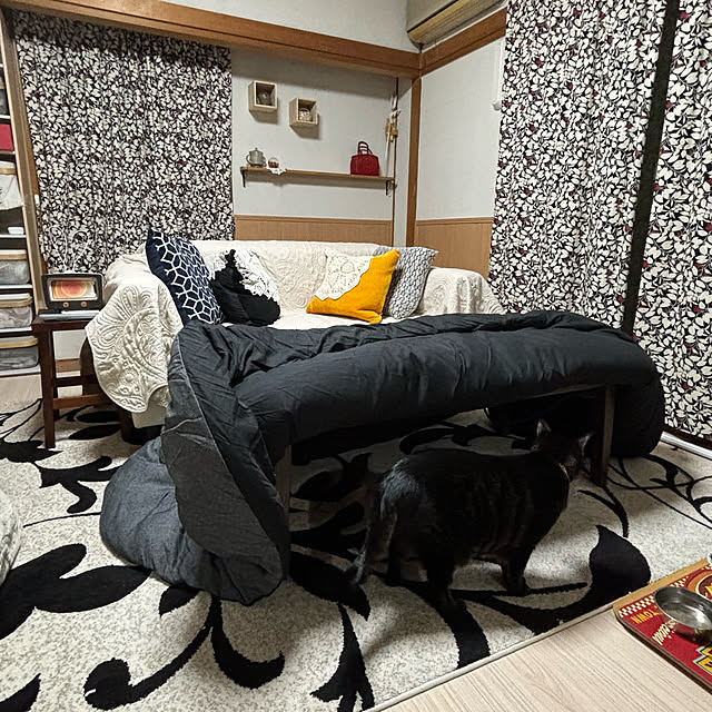momocchiさんの部屋