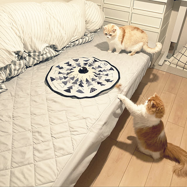 H.Tさんの実例写真