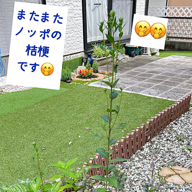 miyuさんの部屋