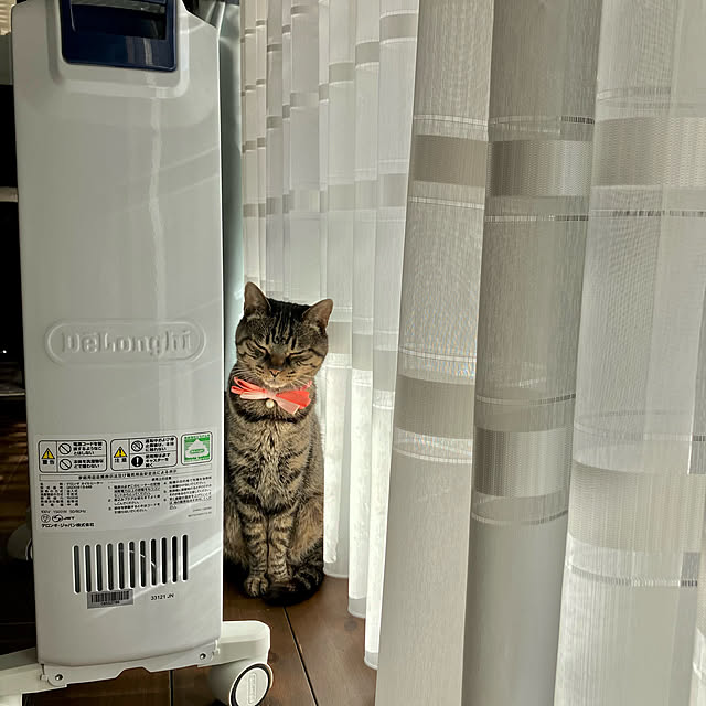 ayataroさんの実例写真