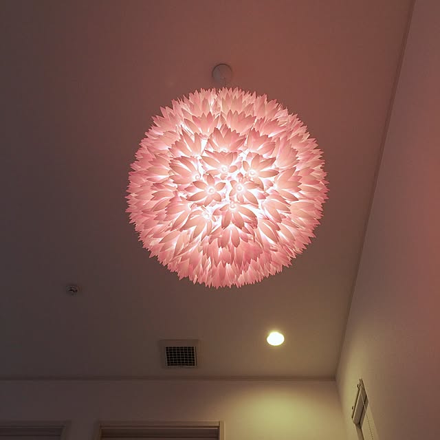 壁/天井/フランフランのインテリア実例 - 2015-06-15 22:53:13