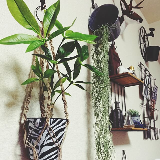 roko.homeさんの実例写真