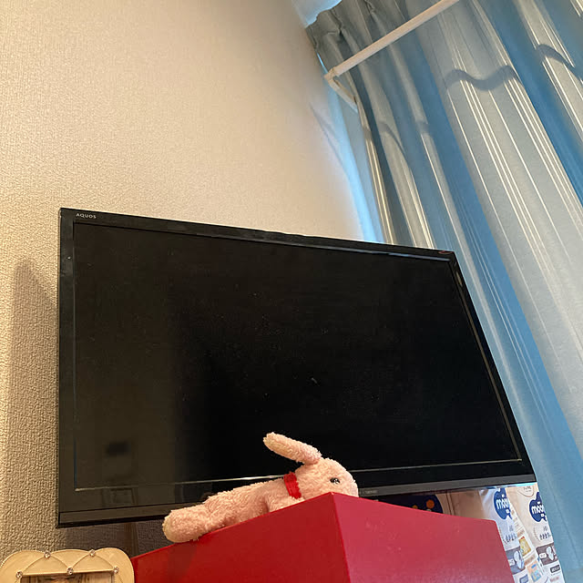 sanさんの実例写真