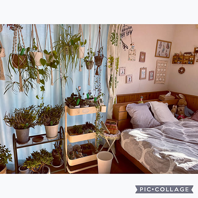 CoCo0617さんの部屋