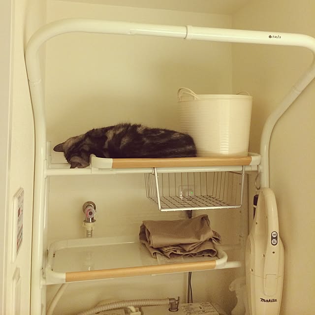 mikomaruさんの実例写真