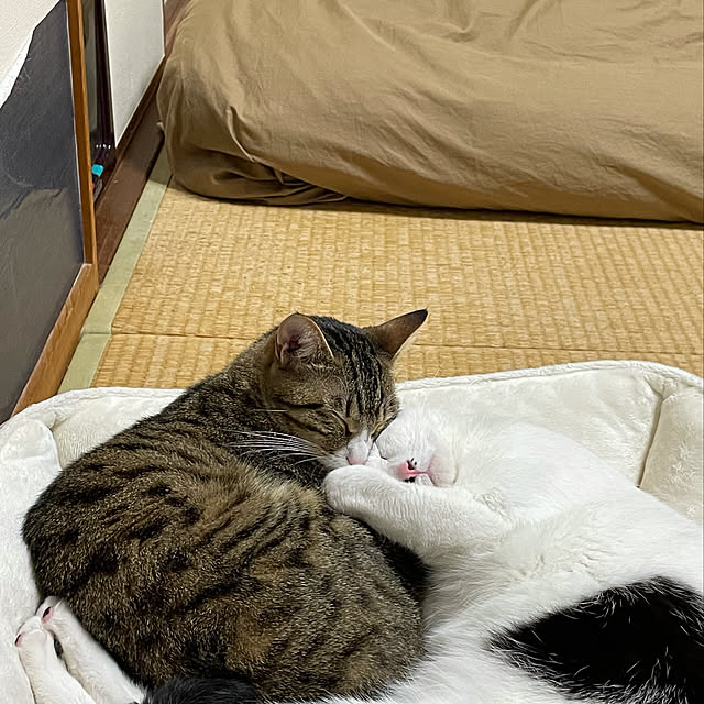 nobikoさんの実例写真