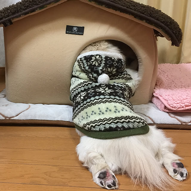 peko226さんの実例写真