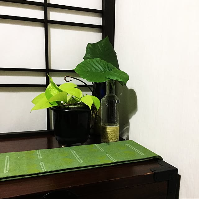 aninさんの実例写真
