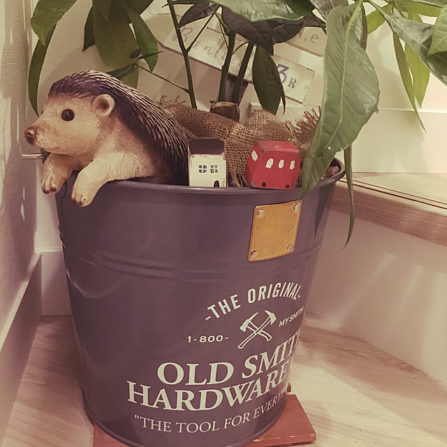Kaoさんの実例写真
