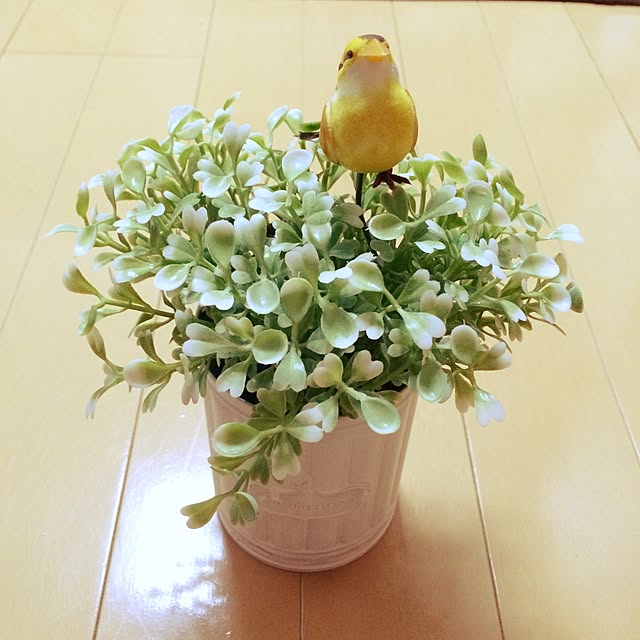 nonさんの実例写真