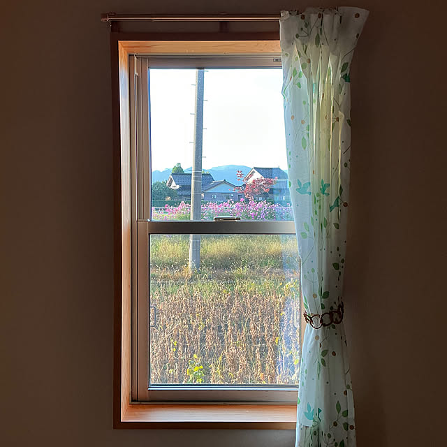 chiiyanさんの部屋