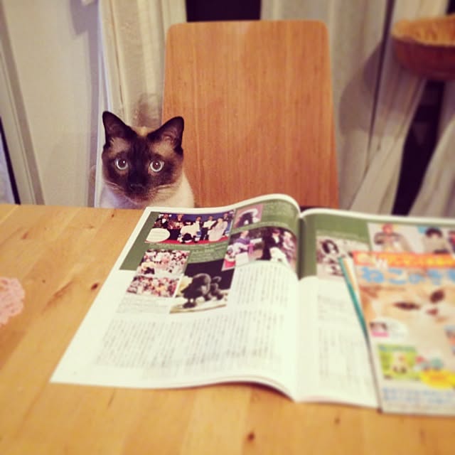 Takachikiさんの実例写真