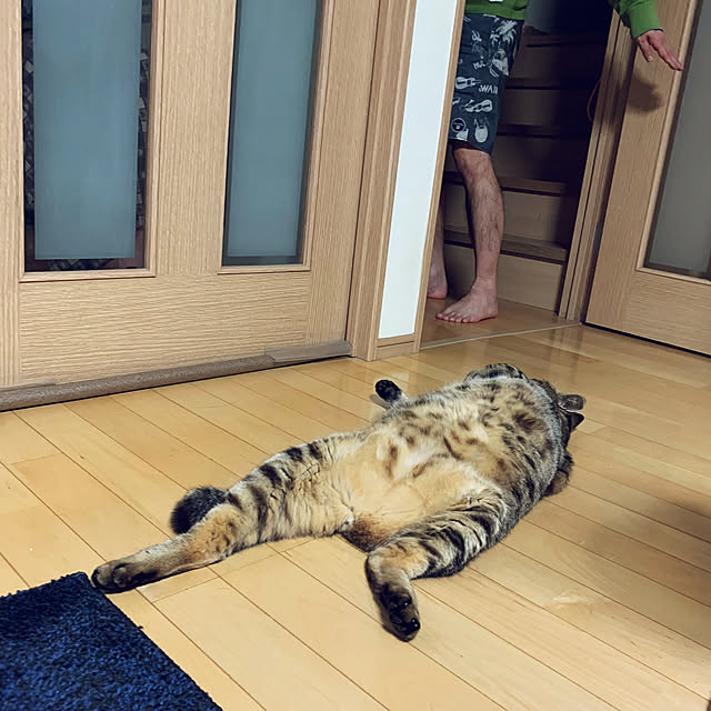 yukarin-gardenさんの実例写真
