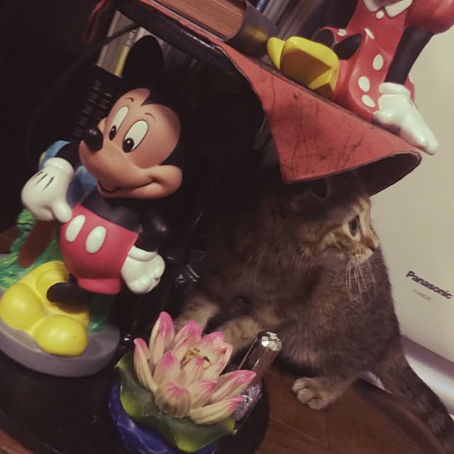 okanさんの実例写真