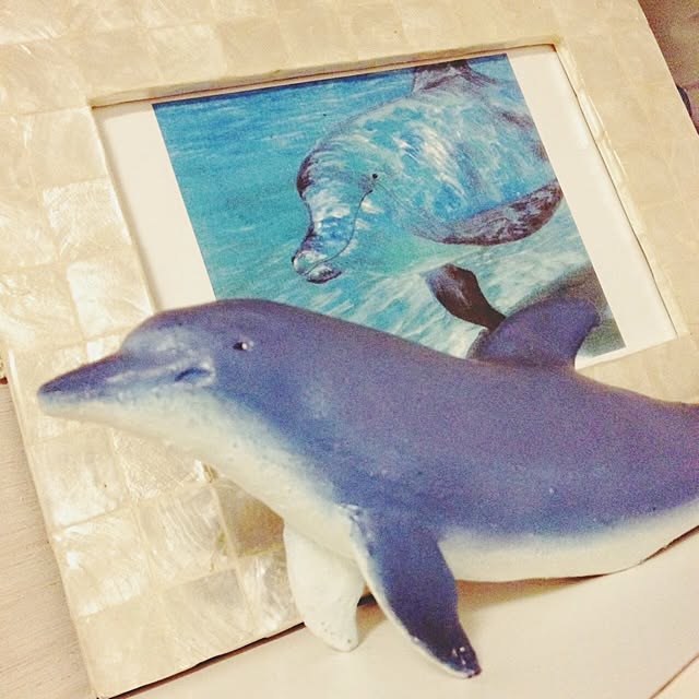 co_coさんの実例写真