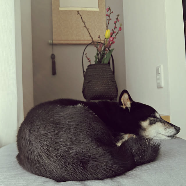 mimi6262さんの実例写真