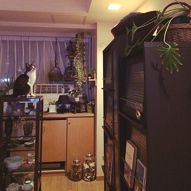 lukeleiaさんの実例写真
